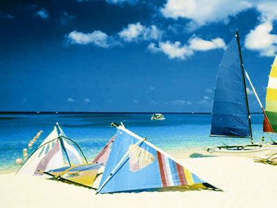Beach with sail surfboards on shore.