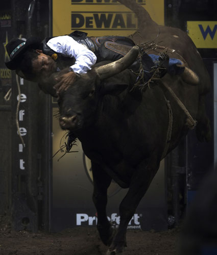 Cowboy riding a bull.