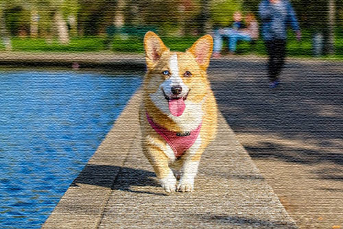 A corgi walking on a fountains lip next to water printed on fabric.